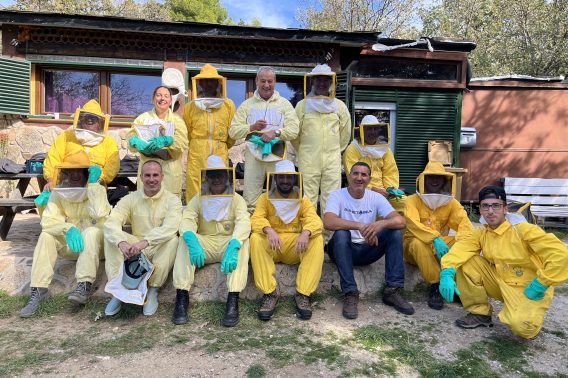 Cursos apicultura Madrid